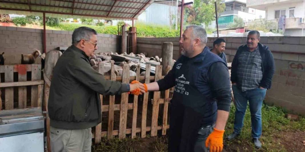 Fiyatlar 400.000 TL’ye kadar çıkıyor! Pazarlıklı talep satıcıyı memnun ediyor 1